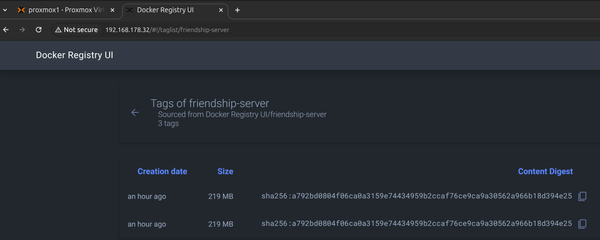 How to Set Up a Secure Private Docker Registry with HTTPS and a Web UI